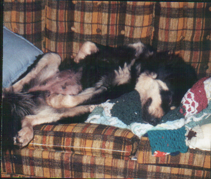 marian2.jpg - 439350 Bytes