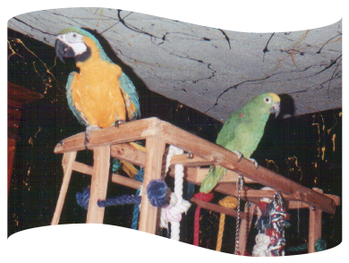 scoobylover.jpg- 344622 Bytes